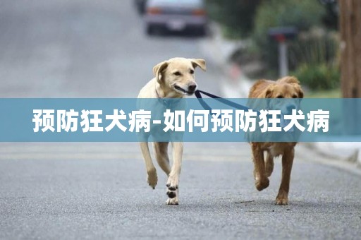 預防狂犬病-如何預防狂犬病