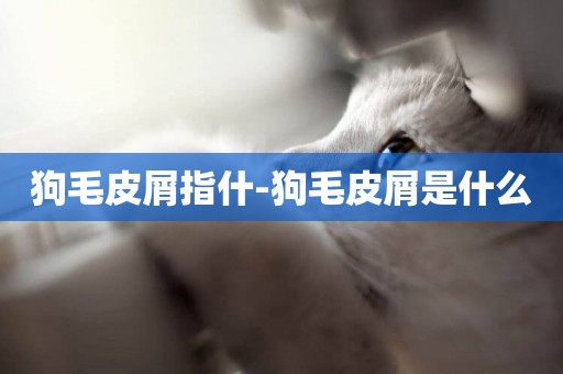 狗毛皮屑指什-狗毛皮屑是什么
