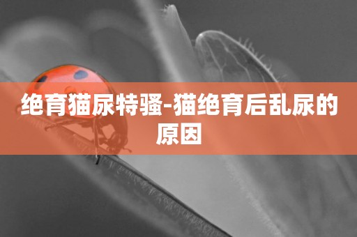 絕育貓尿特騷-貓絕育后亂尿的原因