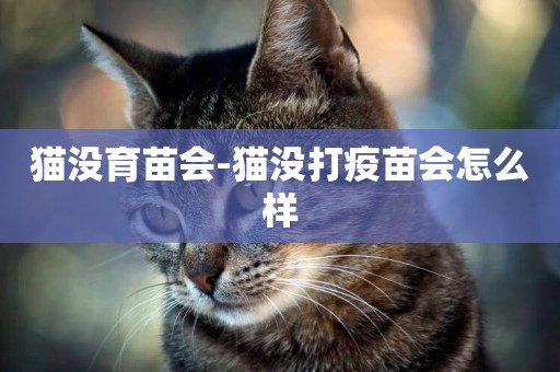 貓沒育苗會-貓沒打疫苗會怎么樣