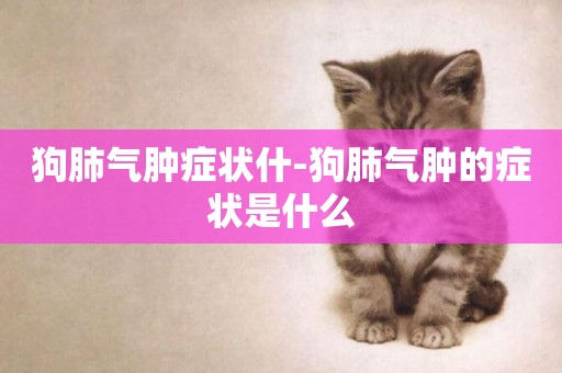 狗肺氣腫癥狀什-狗肺氣腫的癥狀是什么