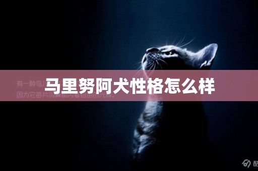 馬里努阿犬性格怎么樣