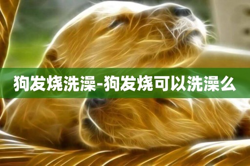 狗發燒洗澡-狗發燒可以洗澡么