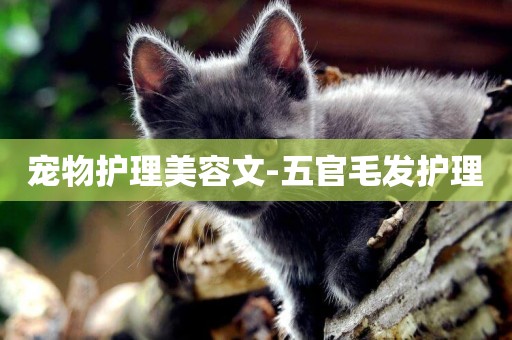寵物護理美容文-五官毛發護理