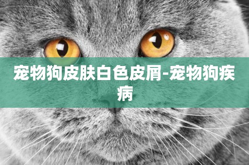 寵物狗皮膚白色皮屑-寵物狗疾病