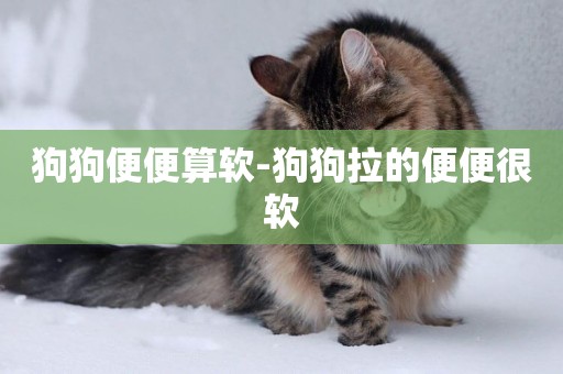 狗狗便便算軟-狗狗拉的便便很軟