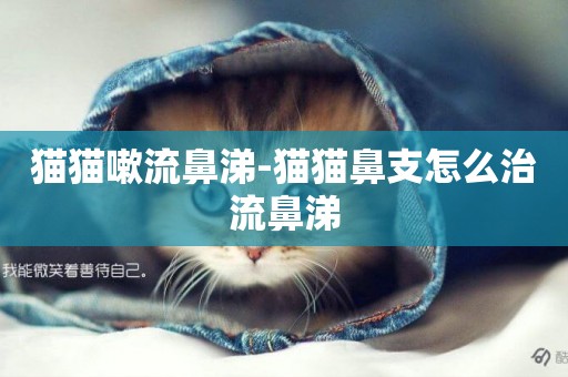 貓貓嗽流鼻涕-貓貓鼻支怎么治流鼻涕