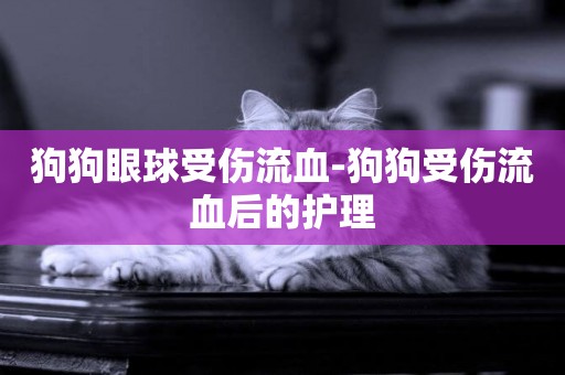 狗狗眼球受傷流血-狗狗受傷流血后的護理