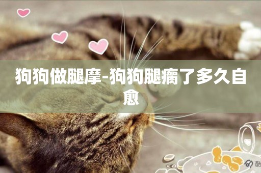 狗狗做腿摩-狗狗腿瘸了多久自愈