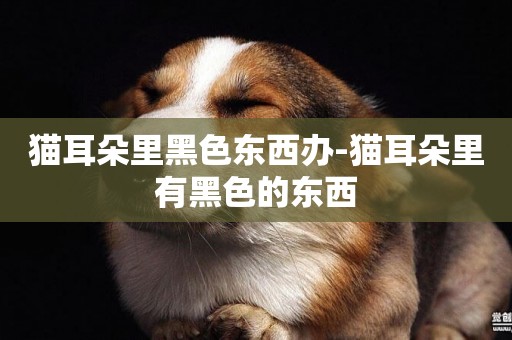貓耳朵里黑色東西辦-貓耳朵里有黑色的東西