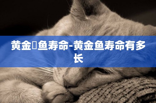 黃金鳉魚壽命-黃金魚壽命有多長