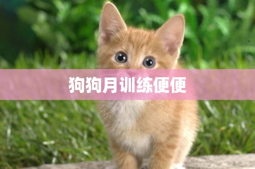 狗狗月訓練便便