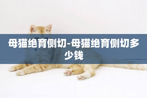 母貓絕育側切-母貓絕育側切多少錢
