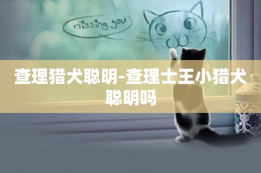 查理獵犬聰明-查理士王小獵犬聰明嗎