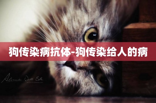 狗傳染病抗體-狗傳染給人的病