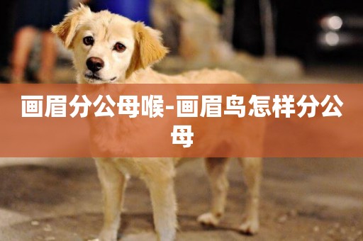 畫眉分公母喉-畫眉鳥怎樣分公母