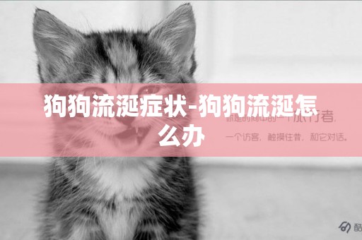 狗狗流涎癥狀-狗狗流涎怎么辦