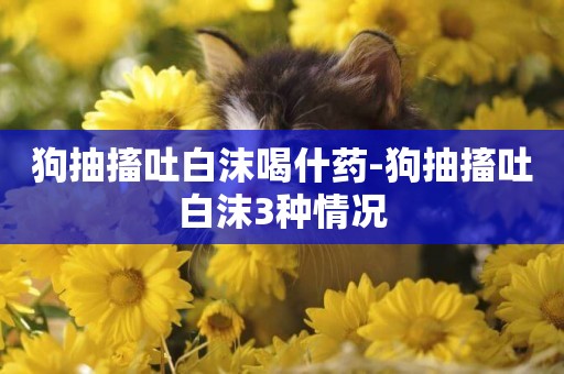 狗抽搐吐白沫喝什藥-狗抽搐吐白沫3種情況