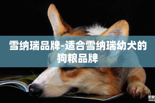 雪納瑞品牌-適合雪納瑞幼犬的狗糧品牌