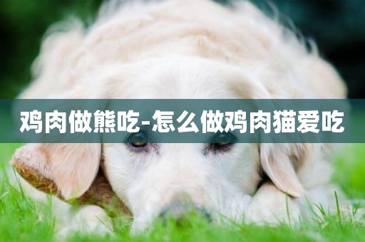 雞肉做熊吃-怎么做雞肉貓愛吃