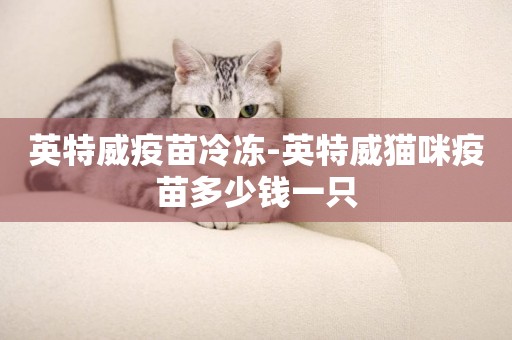 英特威疫苗冷凍-英特威貓咪疫苗多少錢一只