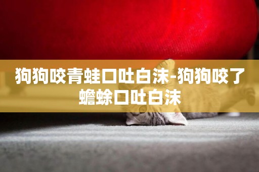 狗狗咬青蛙口吐白沫-狗狗咬了蟾蜍口吐白沫