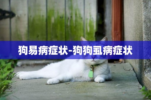 狗易病癥狀-狗狗虱病癥狀