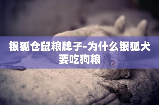 銀狐倉鼠糧牌子-為什么銀狐犬要吃狗糧