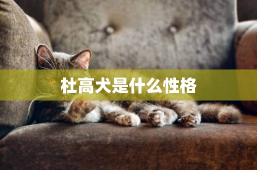 杜高犬是什么性格