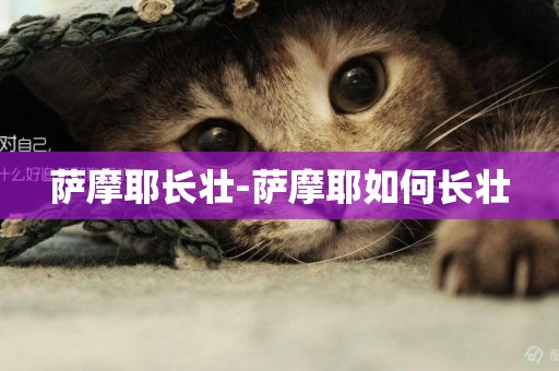 薩摩耶長壯-薩摩耶如何長壯