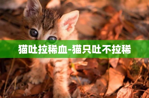 貓吐拉稀血-貓只吐不拉稀