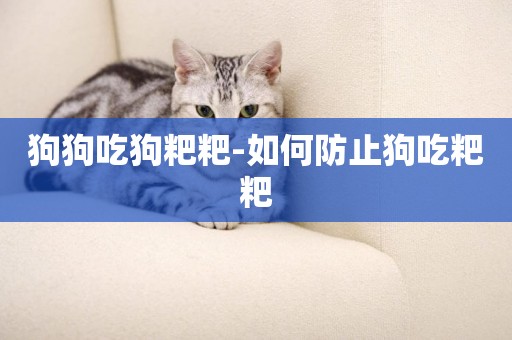 狗狗吃狗粑粑-如何防止狗吃粑粑