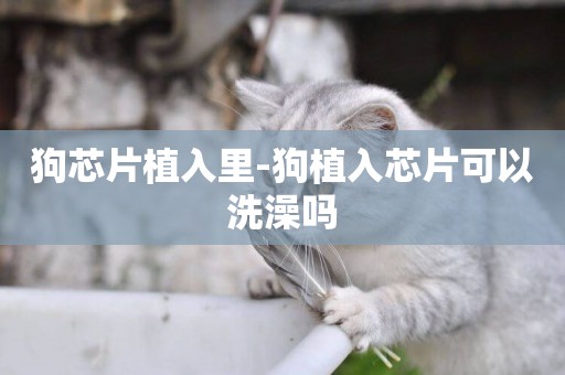 狗芯片植入里-狗植入芯片可以洗澡嗎