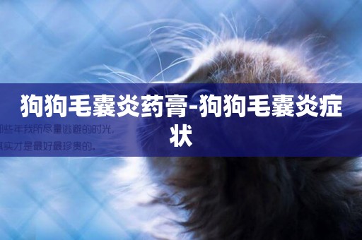 狗狗毛囊炎藥膏-狗狗毛囊炎癥狀