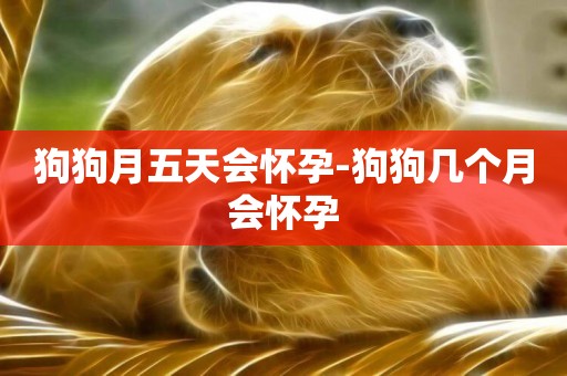 狗狗月五天會懷孕-狗狗幾個月會懷孕