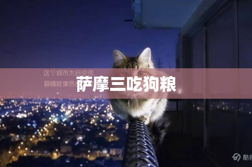 薩摩三吃狗糧