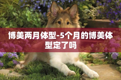 博美兩月體型-5個月的博美體型定了嗎
