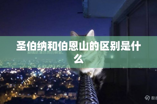 圣伯納和伯恩山的區別是什么