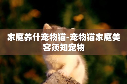 家庭養什寵物貓-寵物貓家庭美容須知寵物