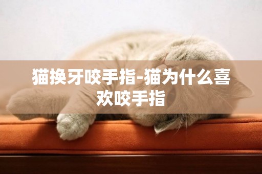 貓換牙咬手指-貓為什么喜歡咬手指