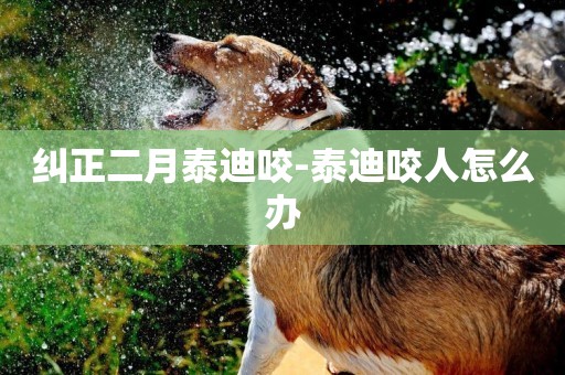 糾正二月泰迪咬-泰迪咬人怎么辦