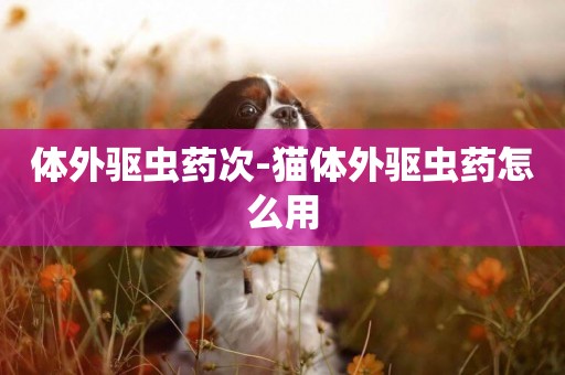 體外驅蟲藥次-貓體外驅蟲藥怎么用