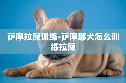 薩摩拉屎訓練-薩摩耶犬怎么訓練拉屎