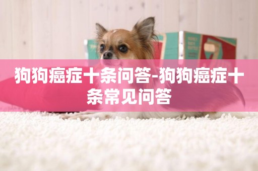 狗狗癌癥十條問答-狗狗癌癥十條常見問答