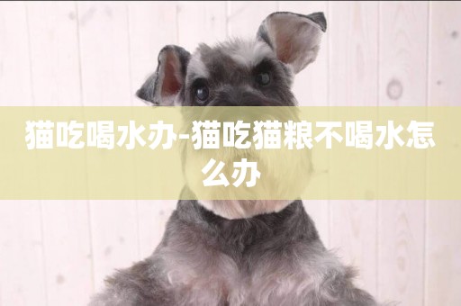 貓吃喝水辦-貓吃貓糧不喝水怎么辦