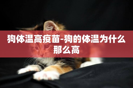狗體溫高疫苗-狗的體溫為什么那么高
