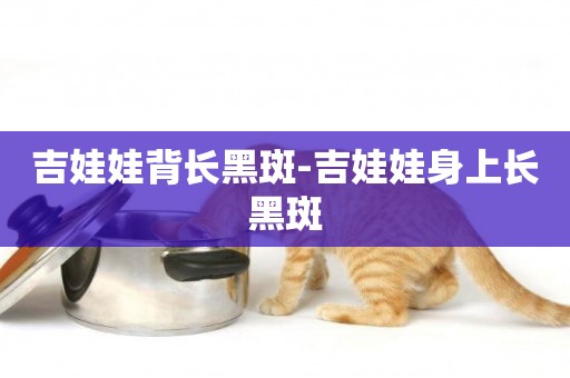 吉娃娃背長黑斑-吉娃娃身上長黑斑