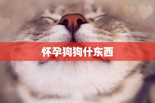 懷孕狗狗什東西