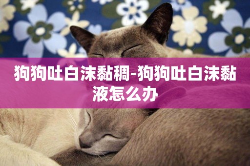 狗狗吐白沫黏稠-狗狗吐白沫黏液怎么辦