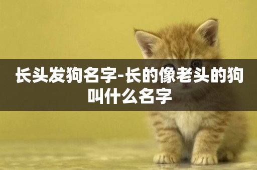 長頭發狗名字-長的像老頭的狗叫什么名字